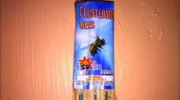 Clustering Bees